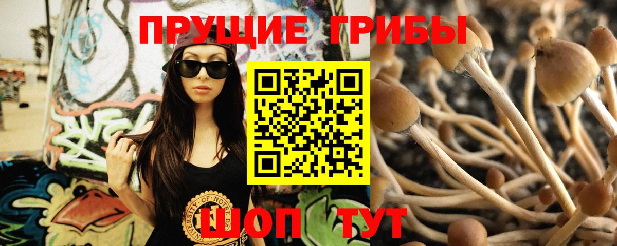 Галлюциногенные грибы Magic Shrooms  Вход с VPN  Алейск  Галлюциногенные грибы MAGIC MUSHROOMS 